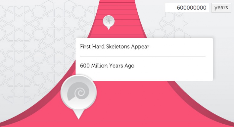 Evolution Timeline
