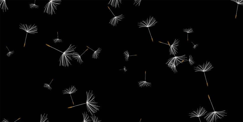 dandelions-animation