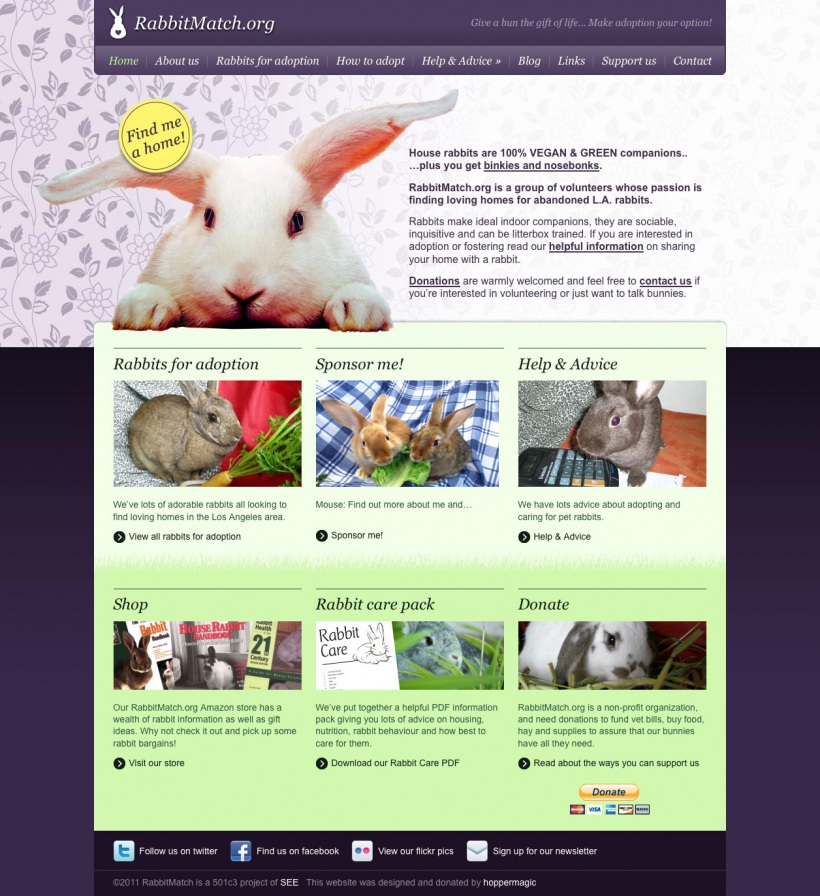 Rabbit Match website