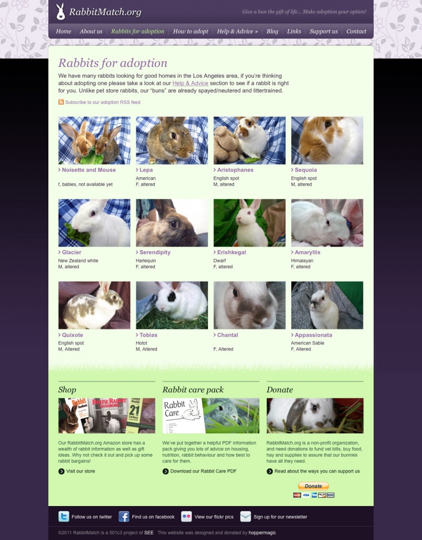 Rabbit Match website