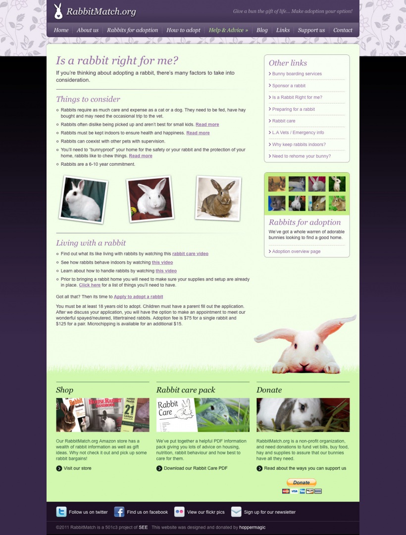 Rabbit Match website